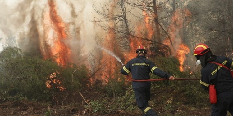 “العمل الإسلامي” يعزي دولة الجزائر بضحايا حرائق الغابات