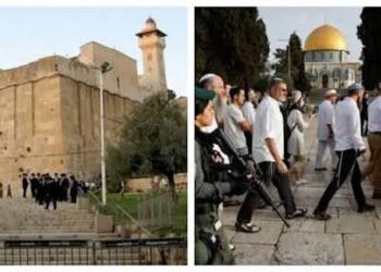 لجنة فلسطين في حزب #الأمة تحذر من تصاعد العدوان على المقدسات وتدعو لتحرك عربي وإسلامي عاجل