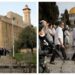 لجنة فلسطين في حزب #الأمة تحذر من تصاعد العدوان على المقدسات وتدعو لتحرك عربي وإسلامي عاجل