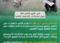 لجنة التربية في حزب الأمة: نظام الثانوية العامة على عامين مرهق وبحاجة إلى مراجعة شاملة حفاظًا على مصلحة الطلبة وجودة التعليم
